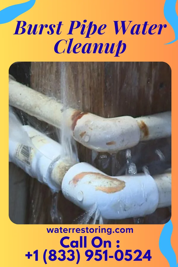 Burst Pipe Water Cleanup in Claremont, NC