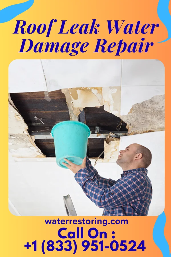 Roof Leak Water Damage Repair in Claremont, NC