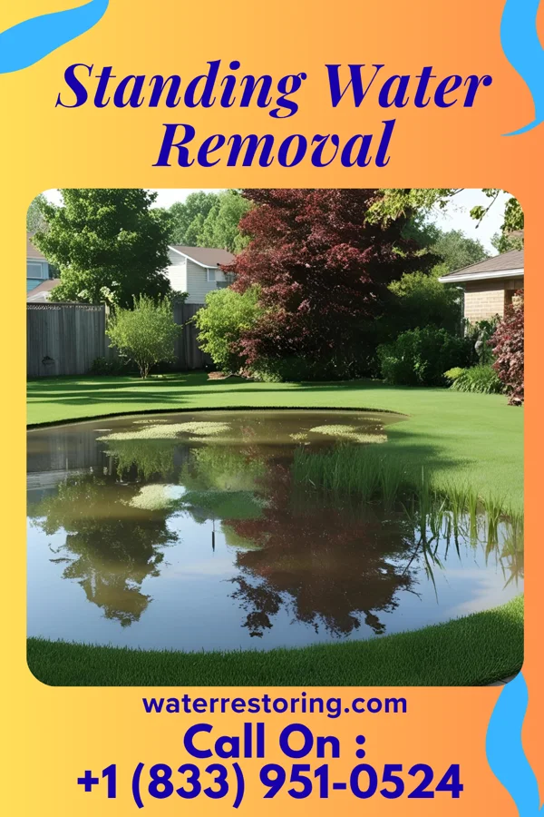 Standing Water Removal in Claremont, NC